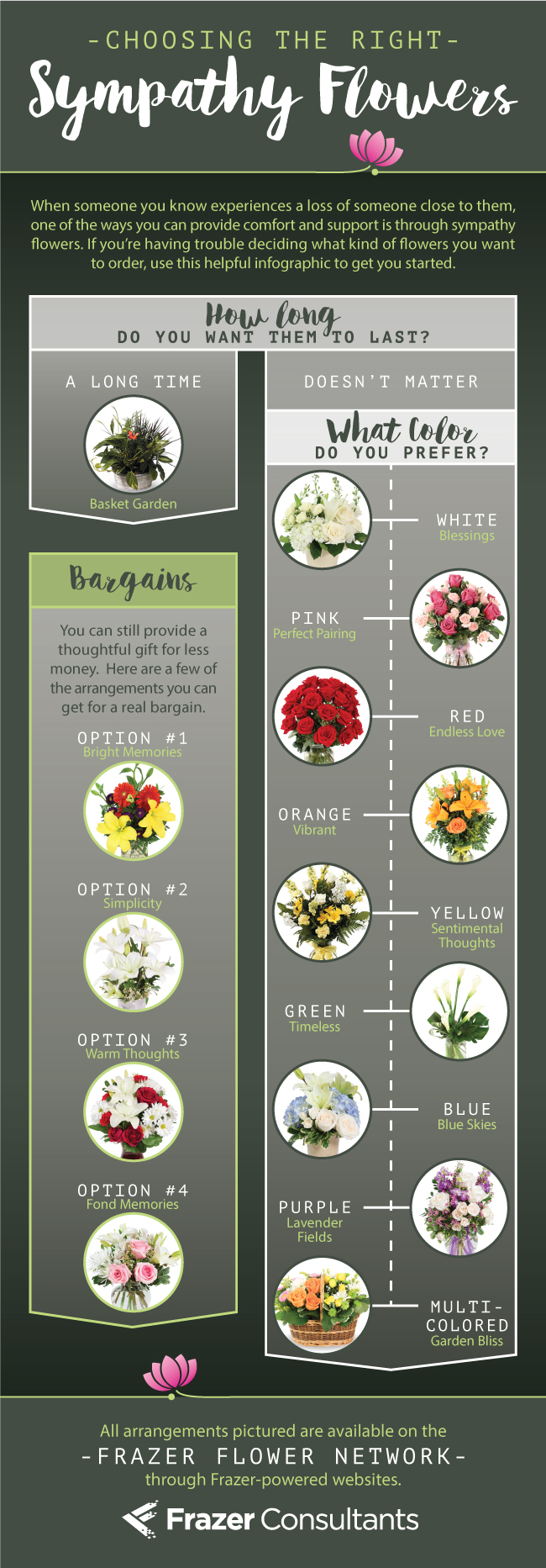 A flower infographic