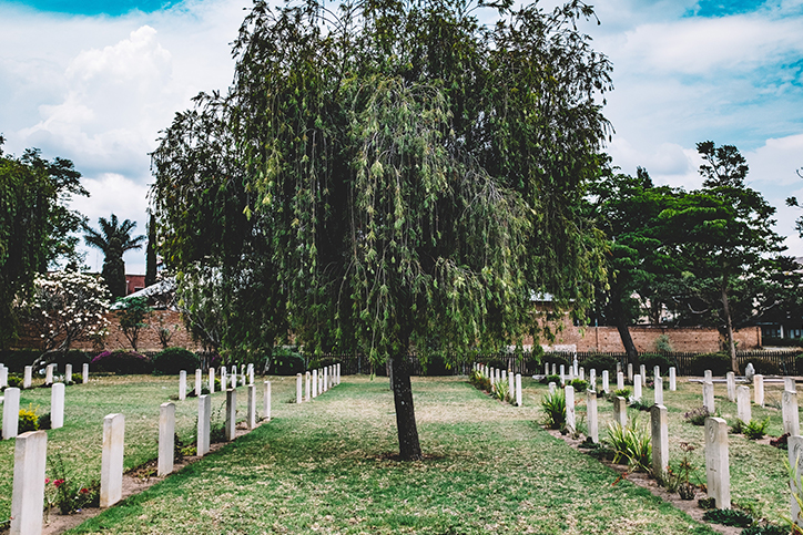 A willow tree in the middle of a graveyard