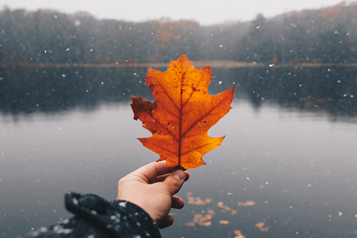 A person holding a fall leaf next to a body of water