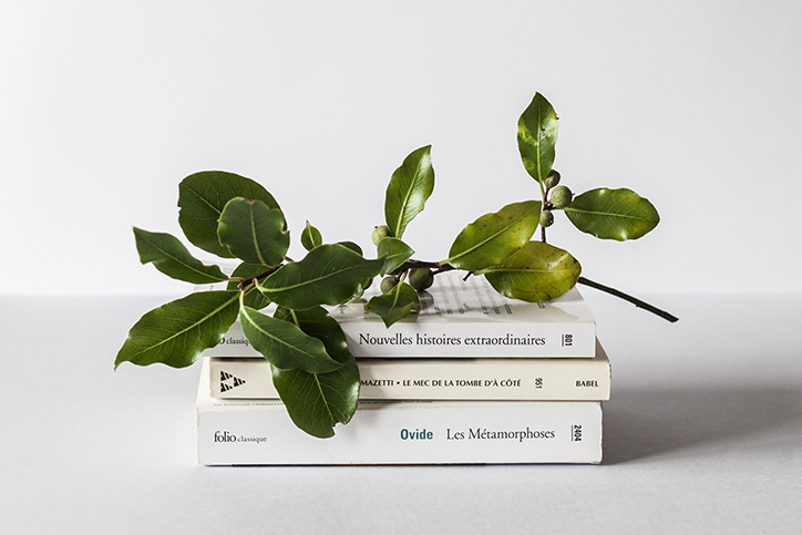 An olive branch sits atop a stack of books
