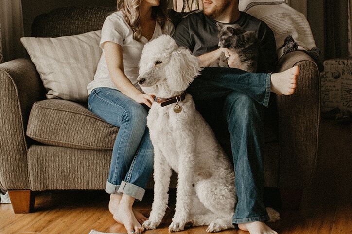A family with their dog and cat