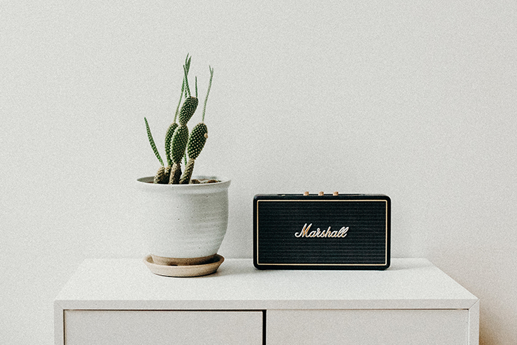 cactus and radio