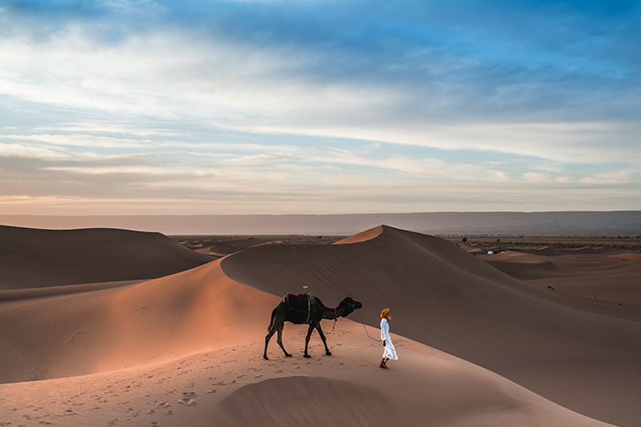 man and camel in the Sahara Desert