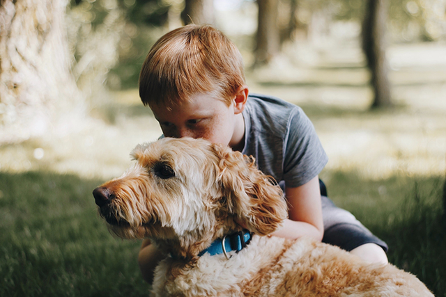 boy with goldendoodle