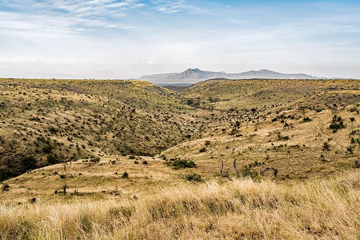 Kenyan hills
