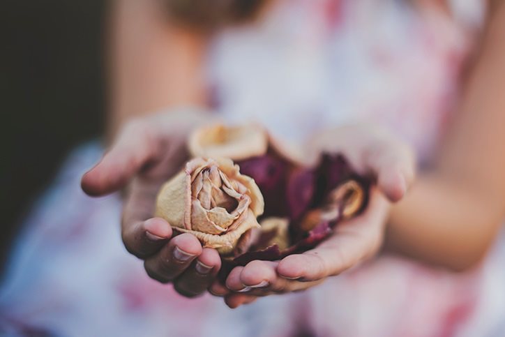 Hand with dried roses