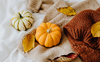 fall leaves and pumpkins on a blanket