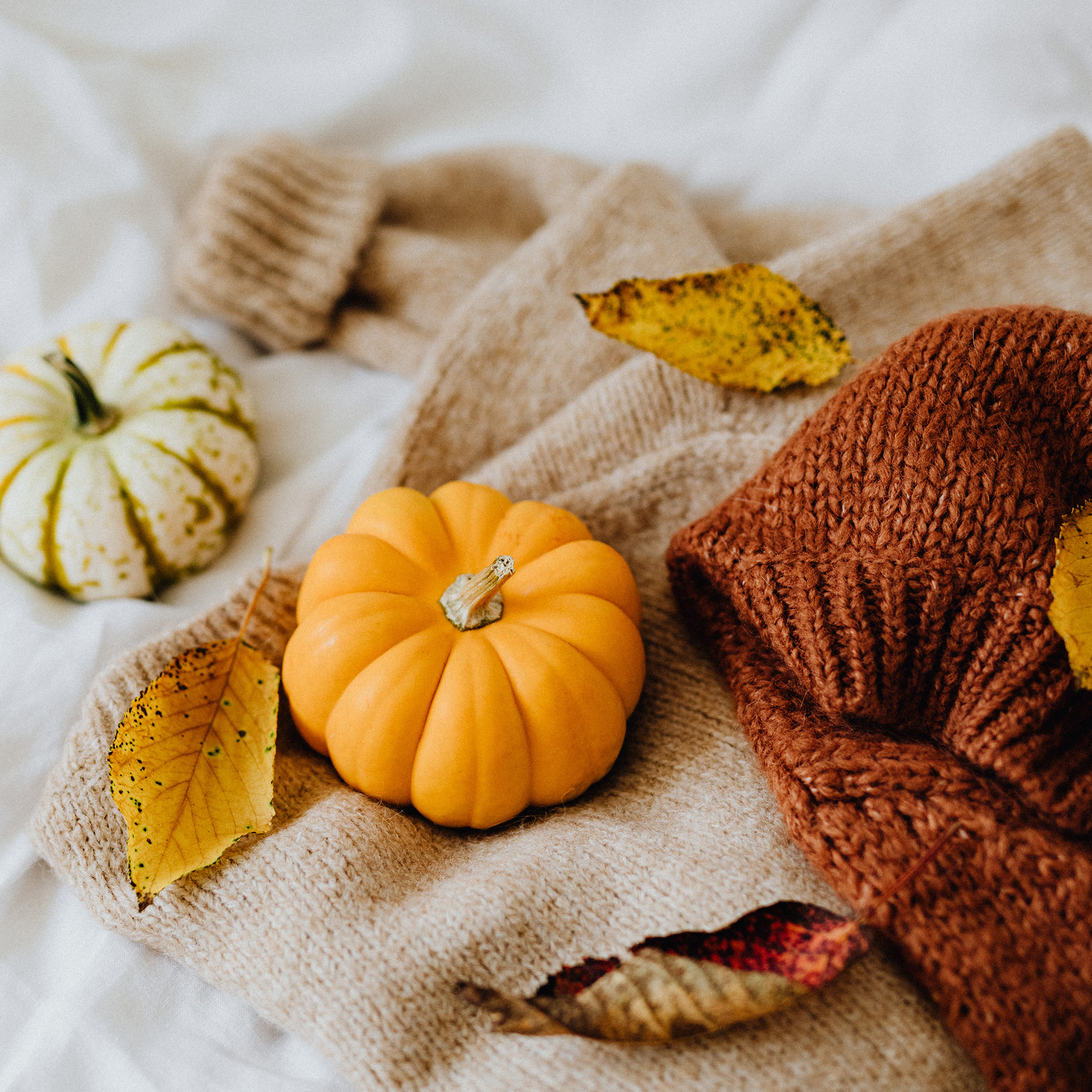 fall pumpkins and leaves on a blanket