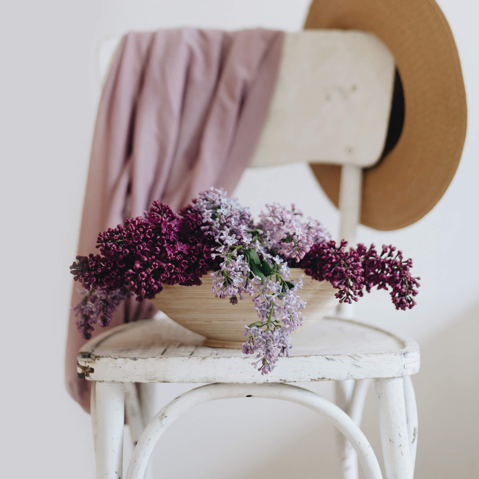 Purple flowers on a chair